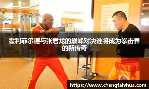 霍利菲尔德与张君龙的巅峰对决谁将成为拳击界的新传奇