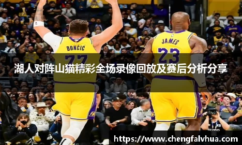 湖人对阵山猫精彩全场录像回放及赛后分析分享